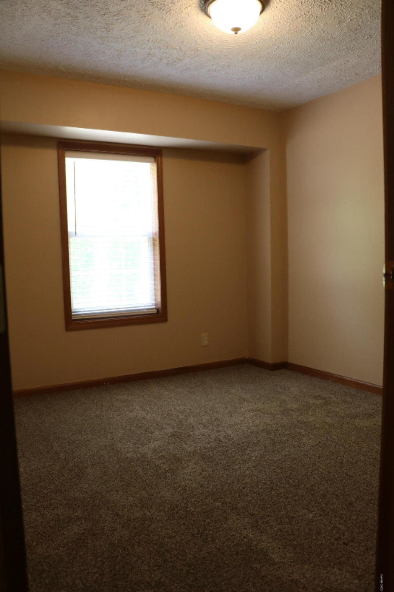 8514 Godfrey Road Belding, MI 48809 - Photo 15 of 27 IMG_2829