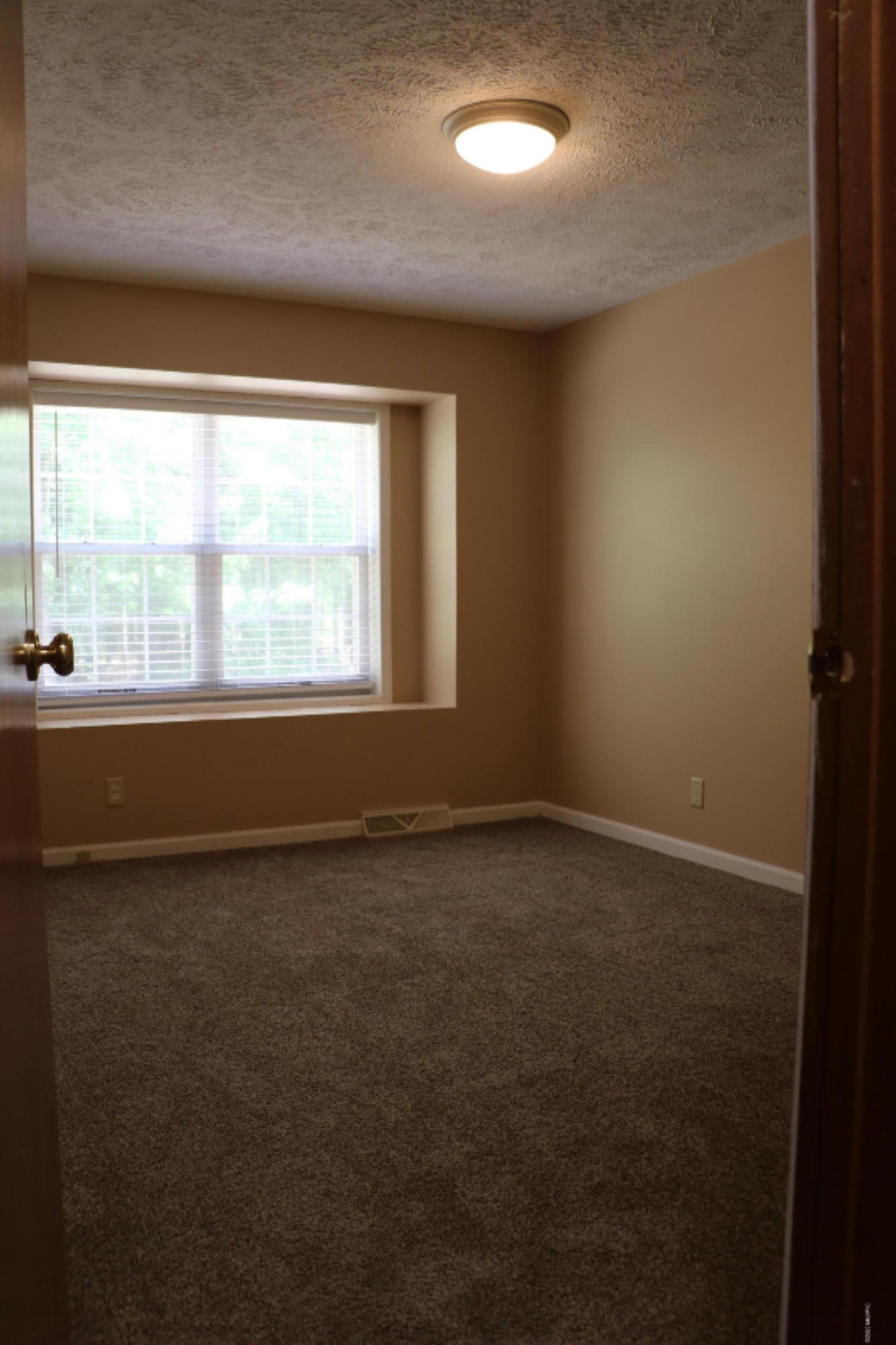 8514 Godfrey Road Belding, MI 48809 - Photo 16 of 27 IMG_2830