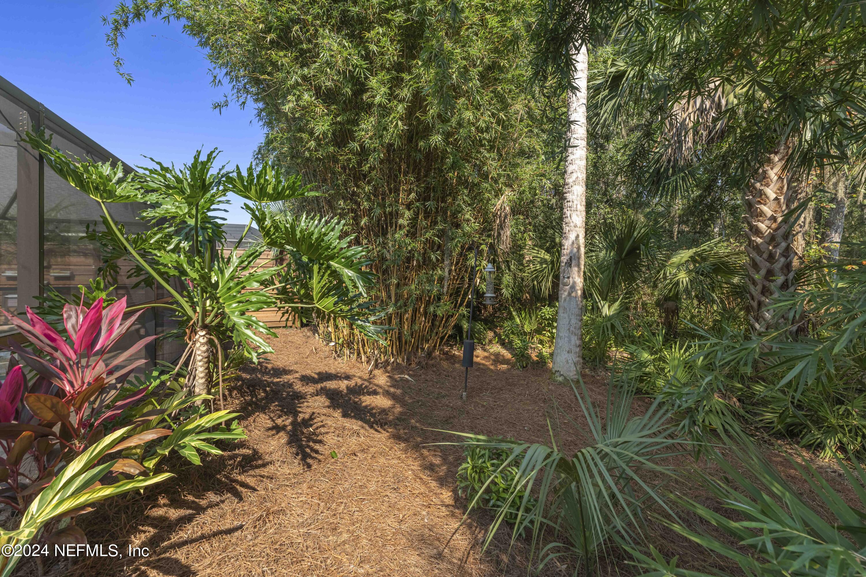 804 Mill Stream Road Ponte Vedra Beach, FL 32082 - Photo 50 of 67 Private preserve lot