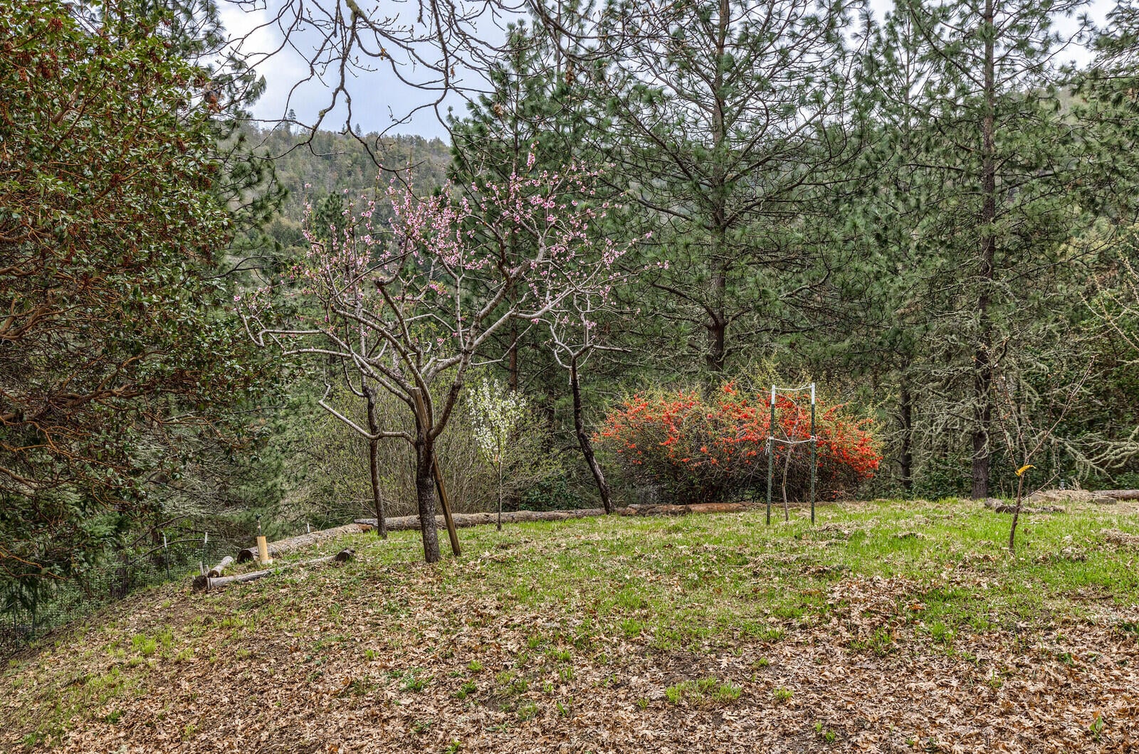 4790 Andrews Road Medford, OR 97501 - Photo 60 of 80 81_AR_81_mls