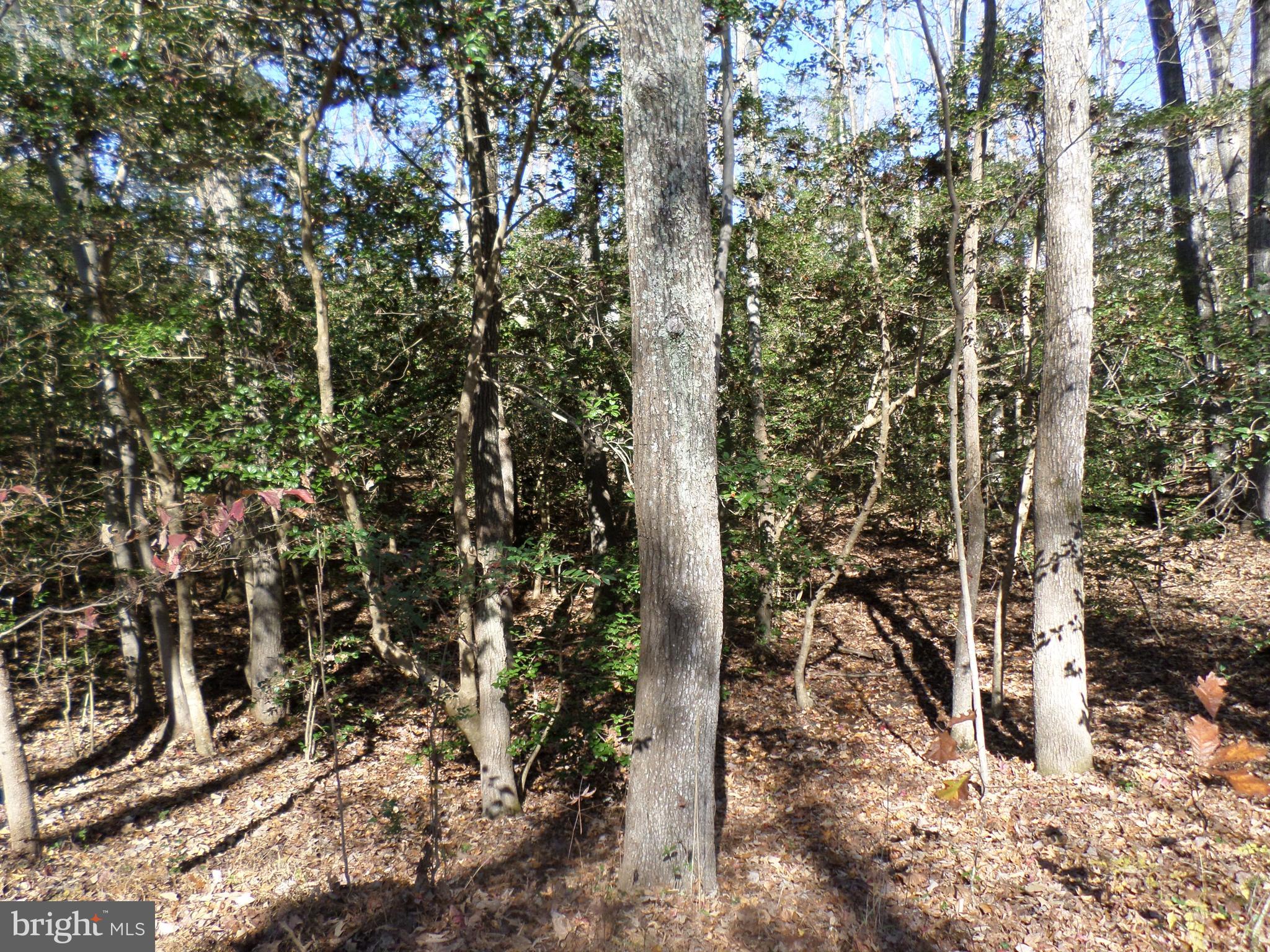 Mallard Point Road Montross, VA 22520 - Photo 1 of 3 Gallery Image 1