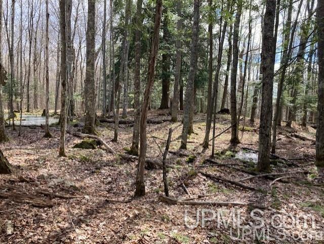Lot 1 Wizard Road Watersmeet, MI 49969 - Photo 13 of 26 Gallery Image 13