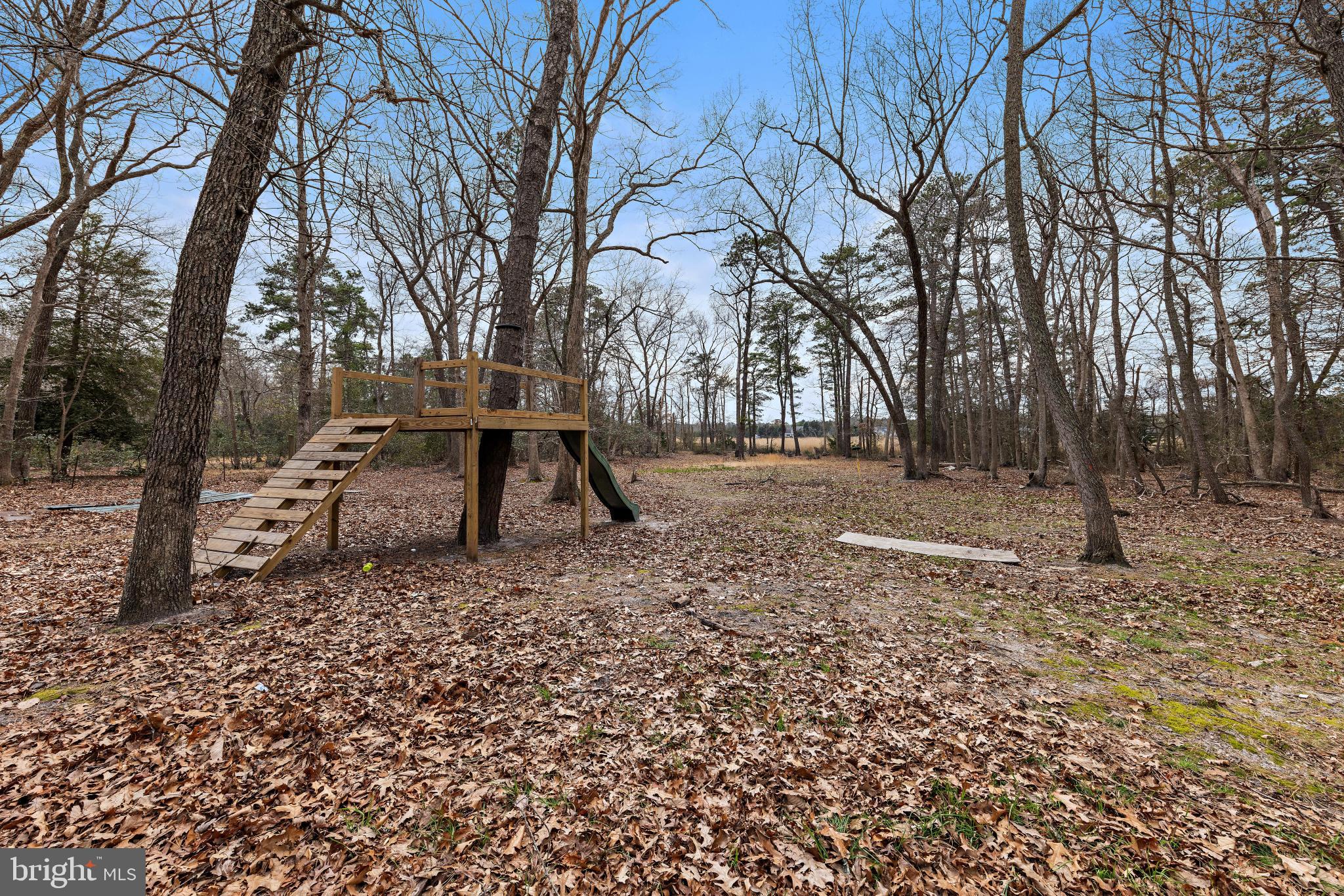 77 West Greenbush Road Tuckerton, NJ 08087 - Photo 62 of 75 a view of a yard with a tree