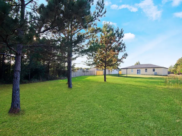 a view of a park with large trees