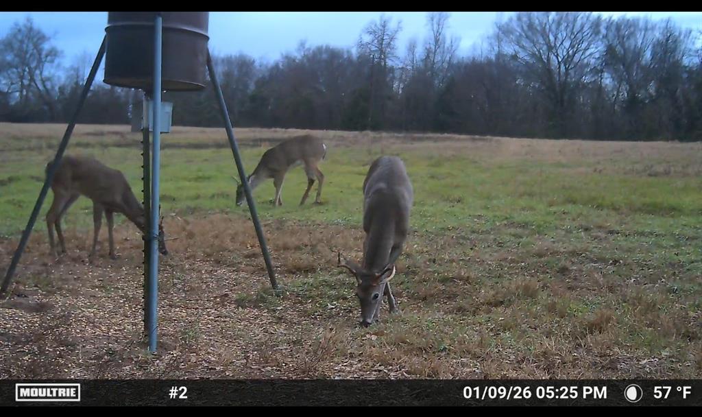 0 Fm 2909 Canton, TX 75103 - Photo 13 of 15 a view of a backyard
