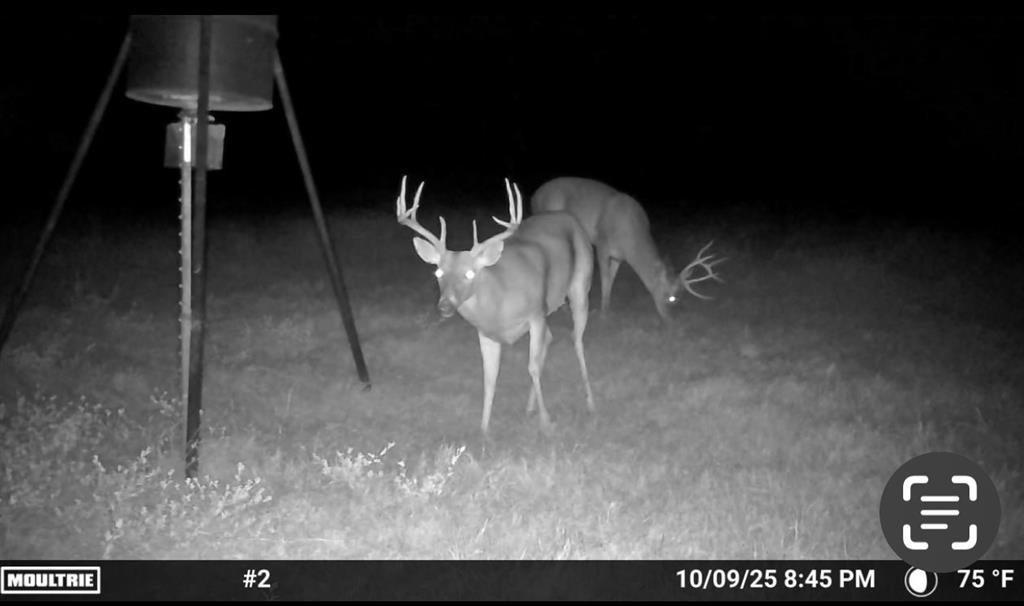 0 Fm 2909 Canton, TX 75103 - Photo 14 of 15