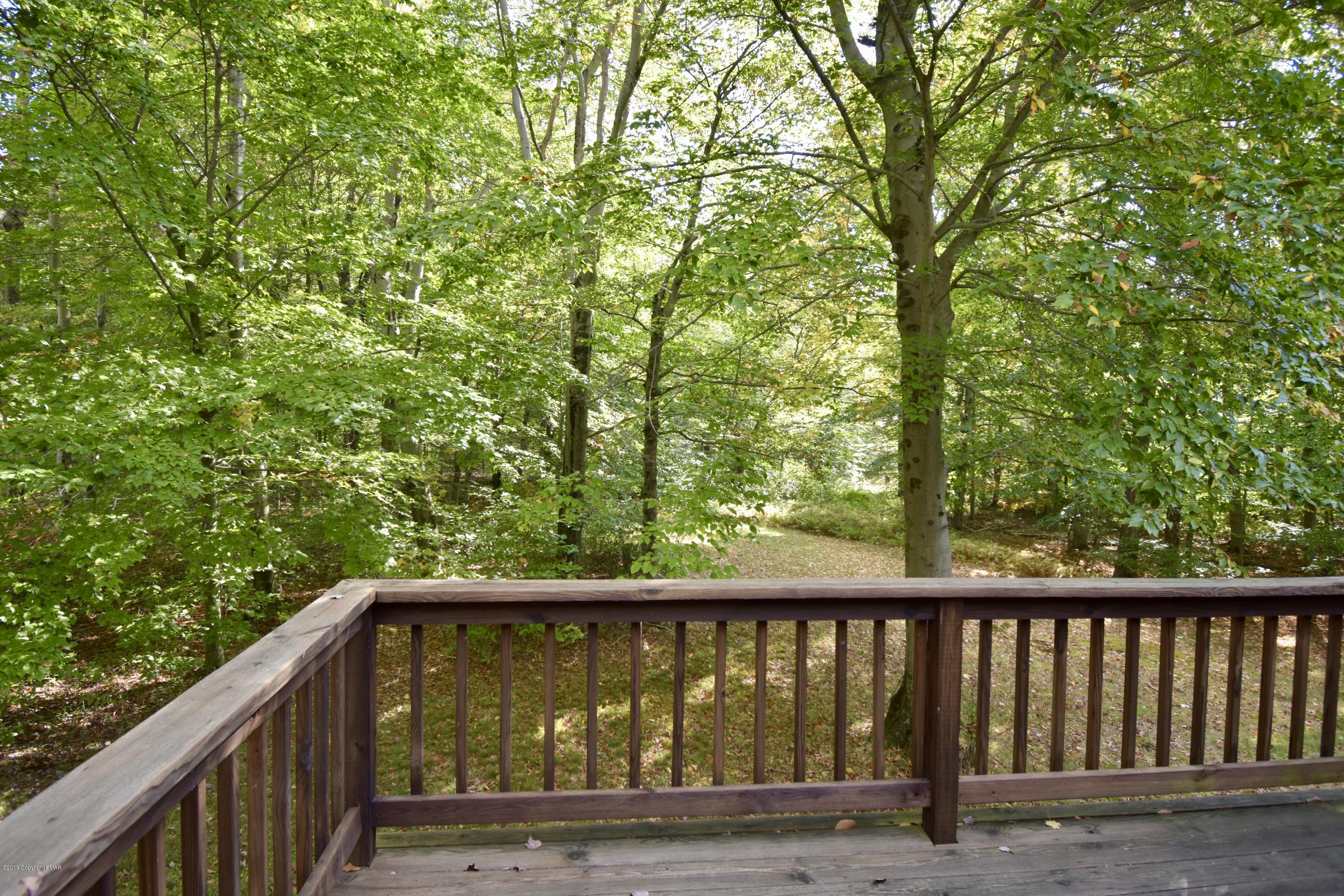 177 Saw Mill Road Pocono Lake, PA 18347 - Photo 11 of 41 back