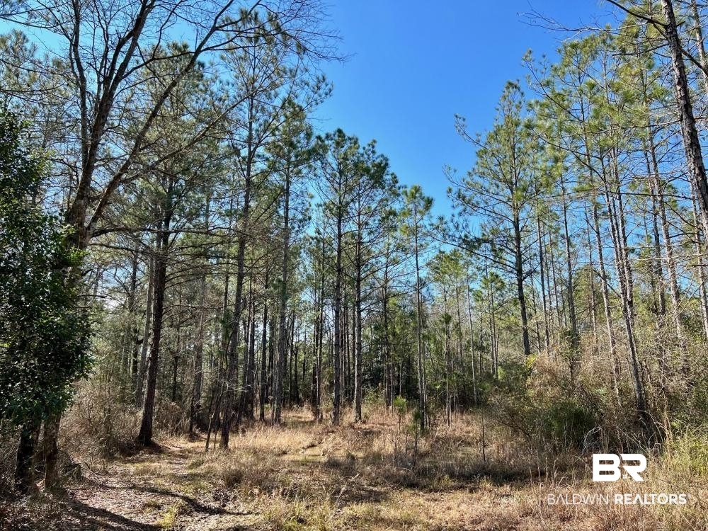 0 Country Road Deer Park, AL 36529 - Photo 41 of 46