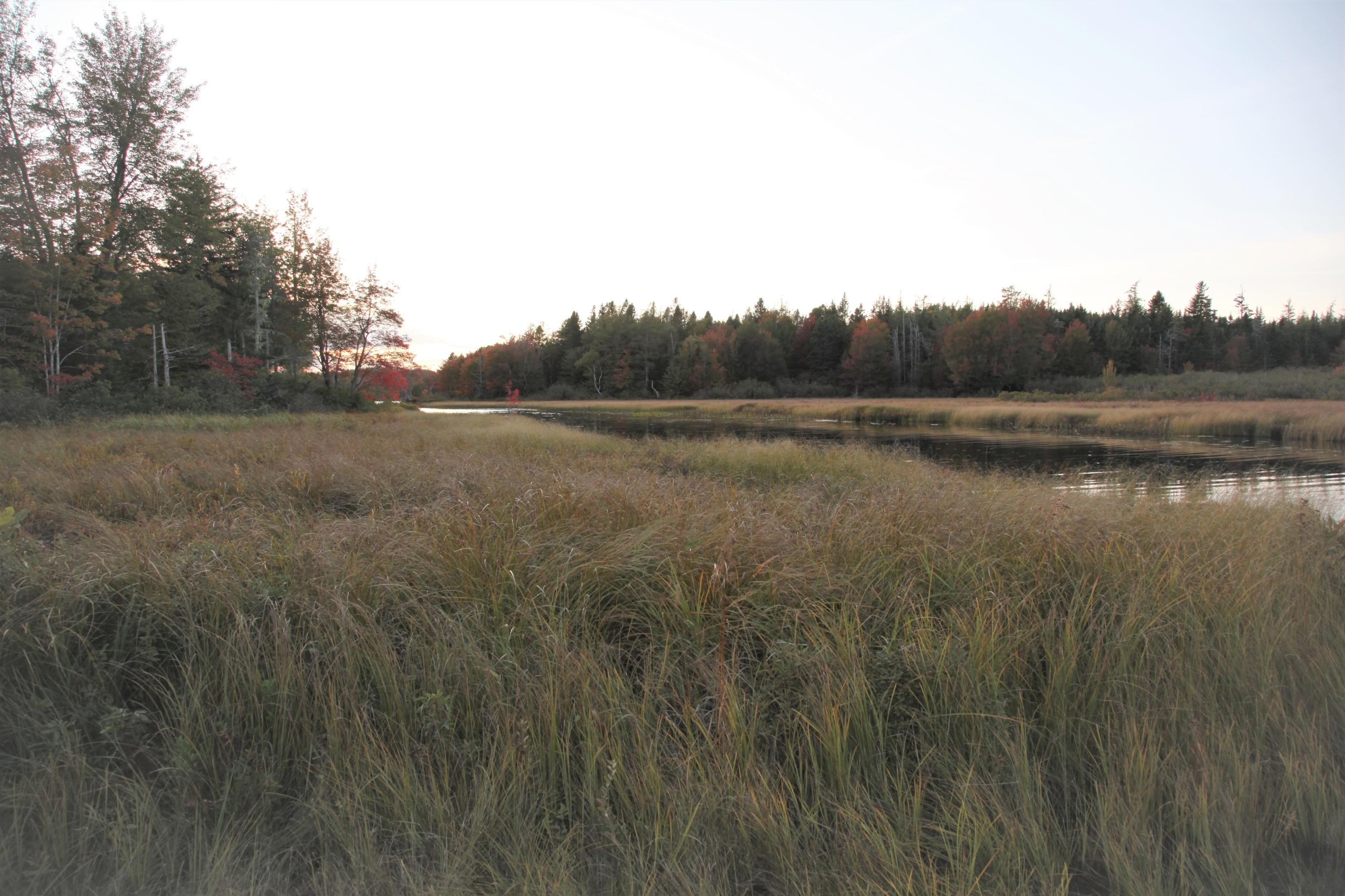 190 Orange Lake Road Whiting, ME 04691 - Photo 33 of 72 IMG_0695