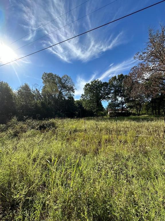 234 Private Road Powderly, TX 75473 - Photo 2 of 8 a view of a yard