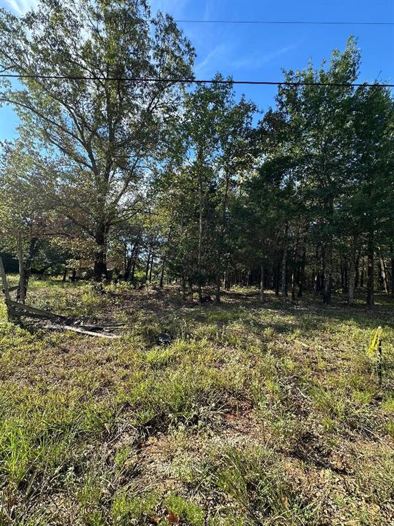 234 Private Road Powderly, TX 75473 - Photo 6 of 8 a view of outdoor space with swimming pool