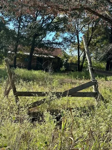 a view of a garden with a tree