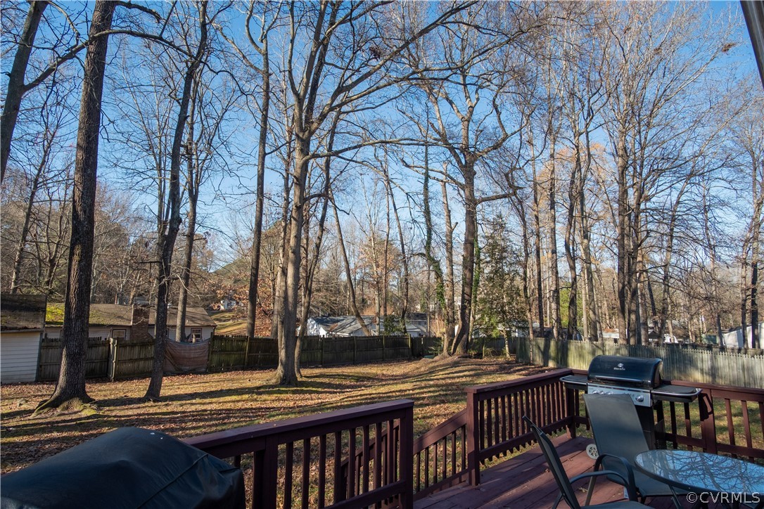 3924 Bronholly Road Chesterfield, VA 23832 - Photo 2 of 22
