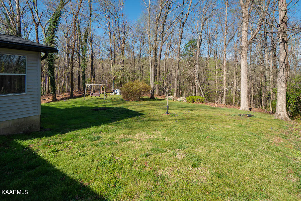 111 Wedgewood Road Oak Ridge, TN 37830 - Photo 3 of 19 JBP_Wedgewood111_Web-3