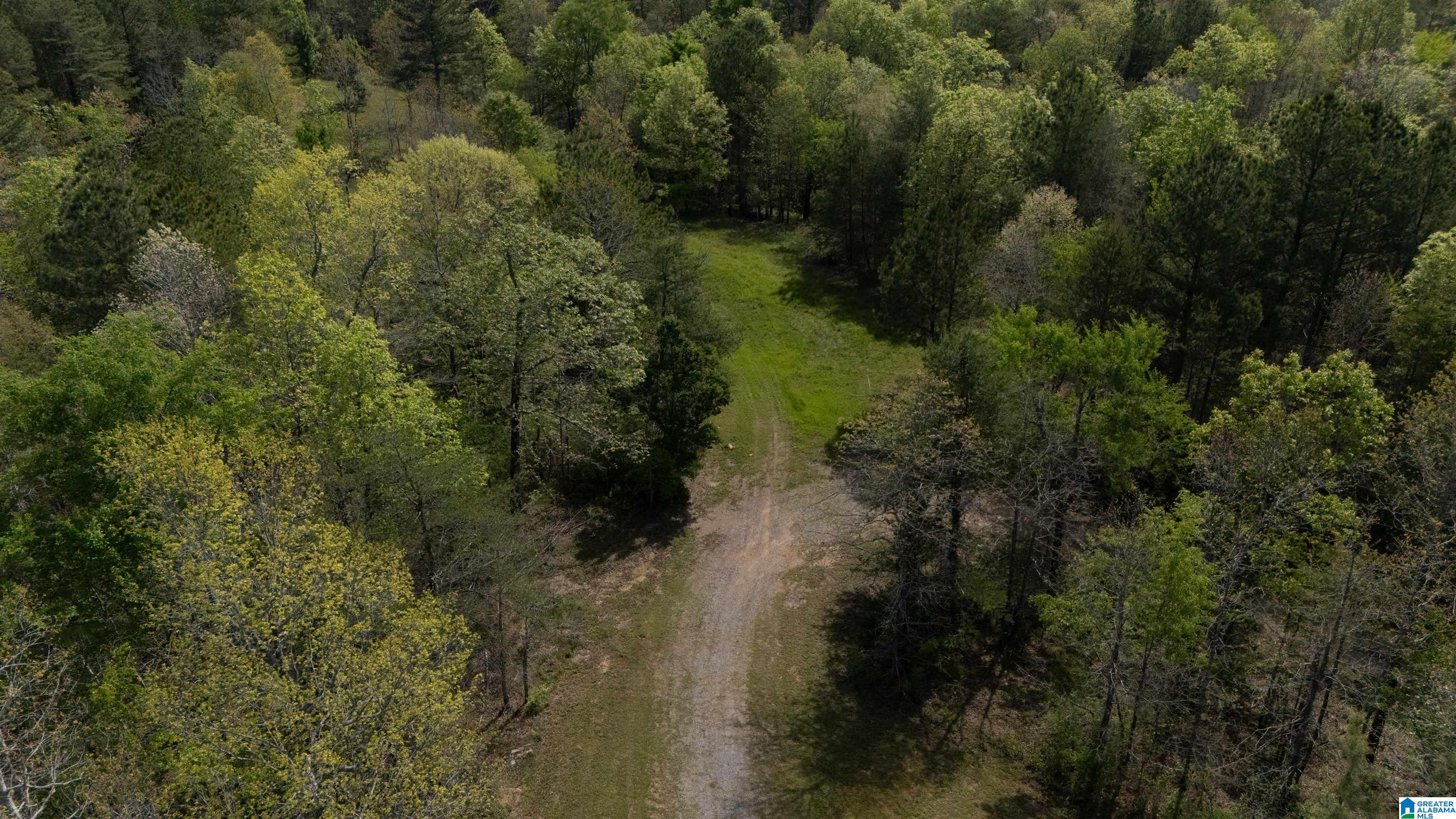 2121 Center Hill Road Trafford, AL 35172 - Photo 70 of 100