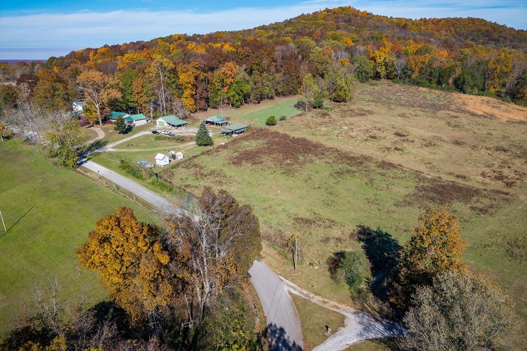 0 Webbs Camp Road Walling, TN 38587 - Photo 16 of 19 Gallery Image 16