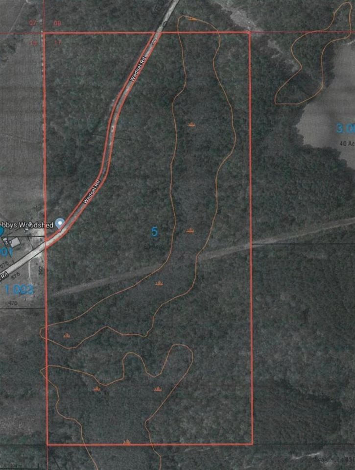 0 Wedsel Road Samson, AL 36477 - Photo 1 of 1 Gallery Image 1