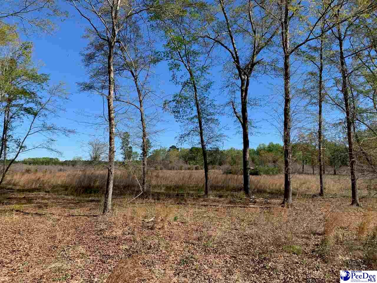 Tbd Bear Creek Road Chesterfield, SC 29709 - Photo 5 of 12 Gallery Image 5