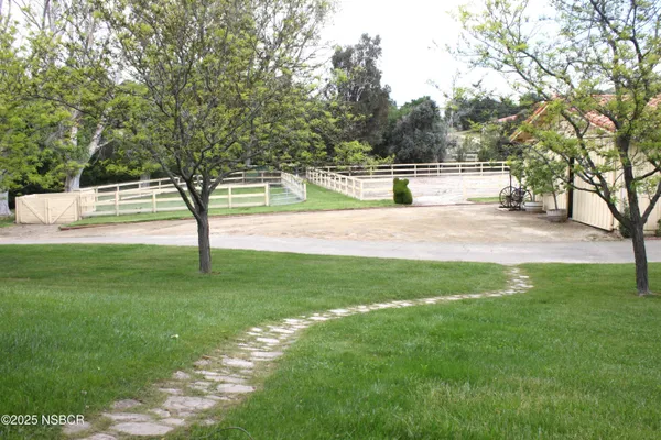 a view of a backyard