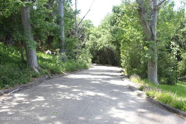 a view of a yard with plants and a trees