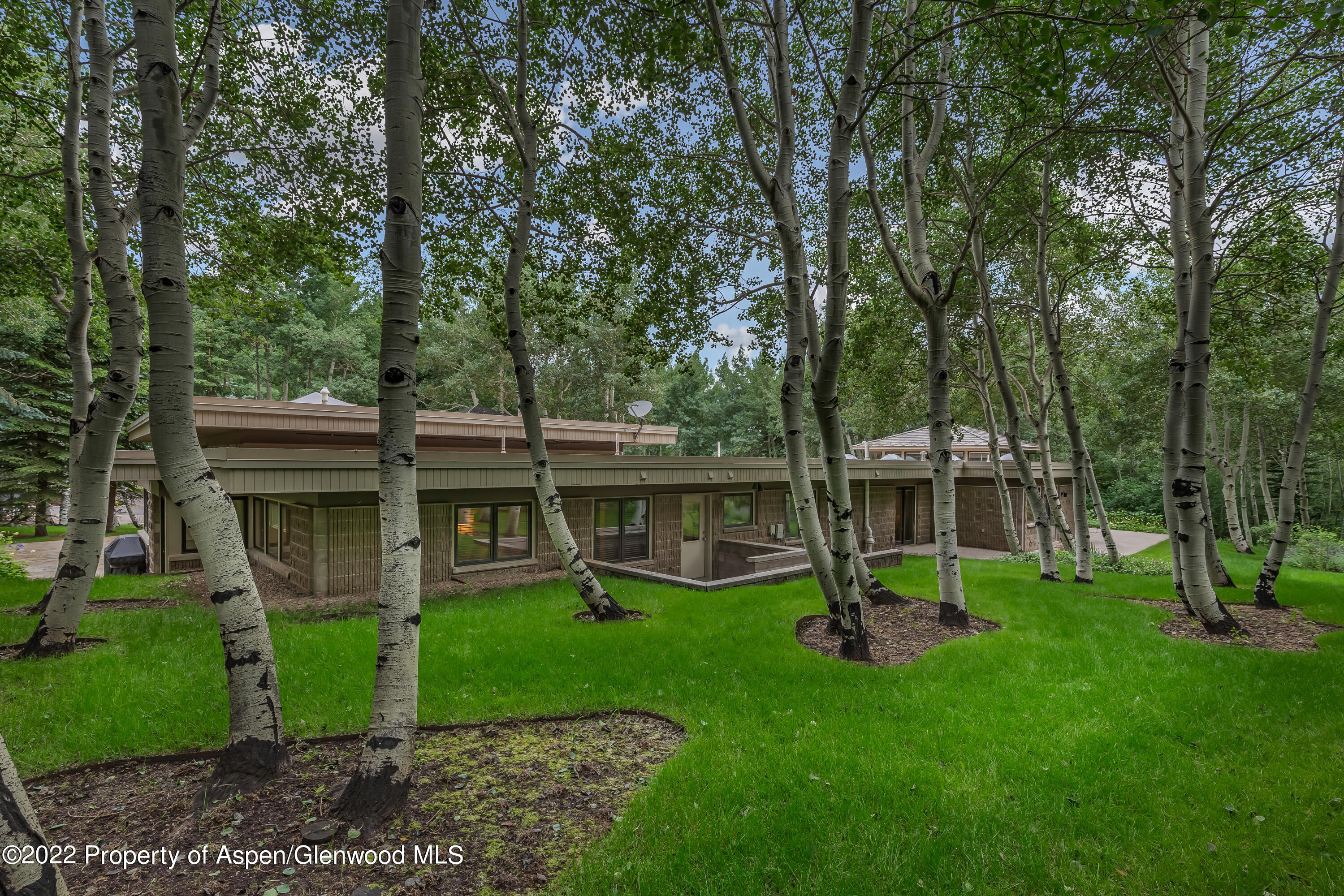 332 Glen Eagle Drive Aspen, CO 81611 - Photo 35 of 37 a view of outdoor space yard and patio