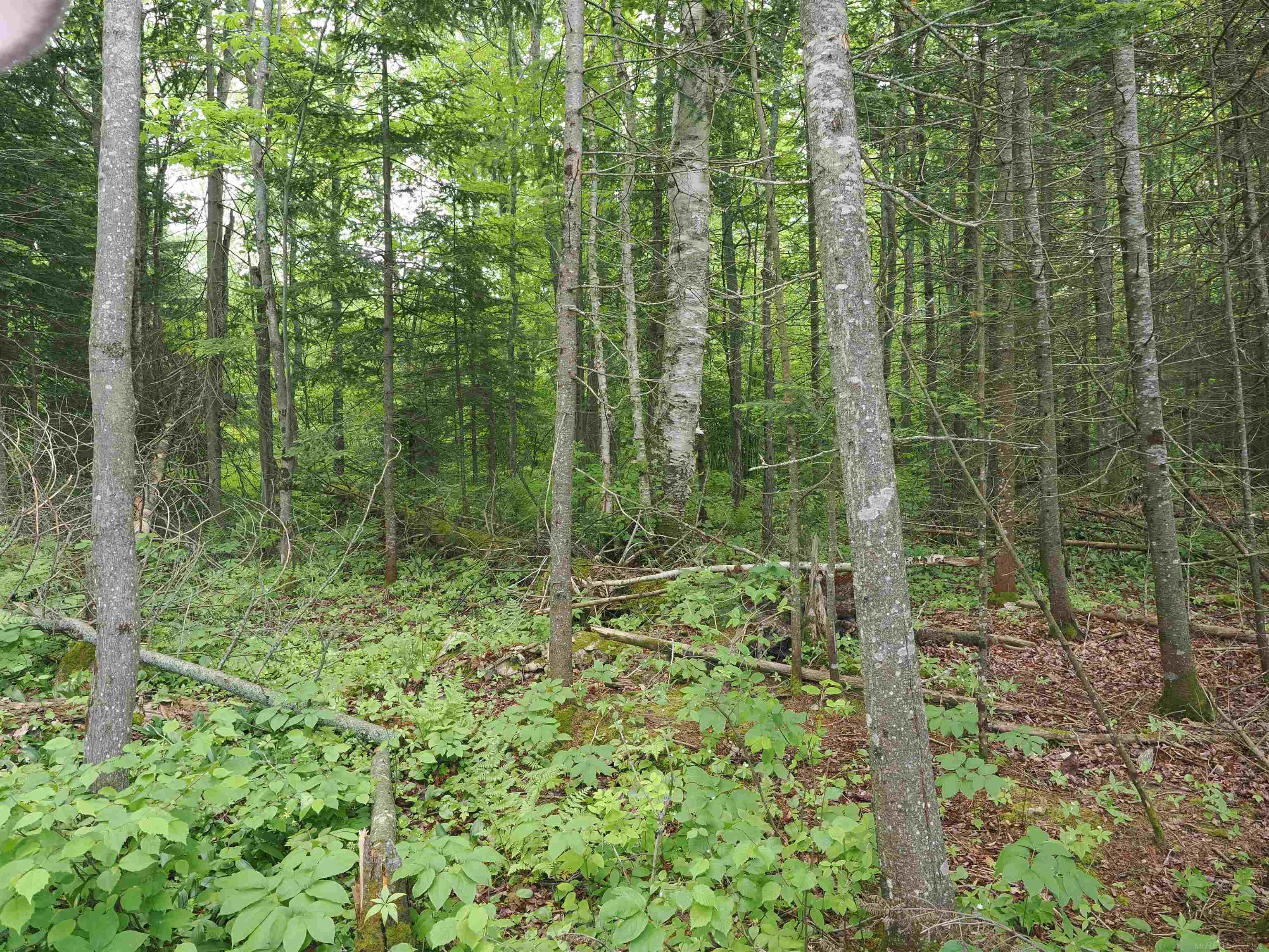 5 West 5 Mile Road Sault Ste. Marie, MI 49783 - Photo 25 of 30