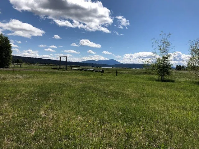 a view of a golf course with a lake