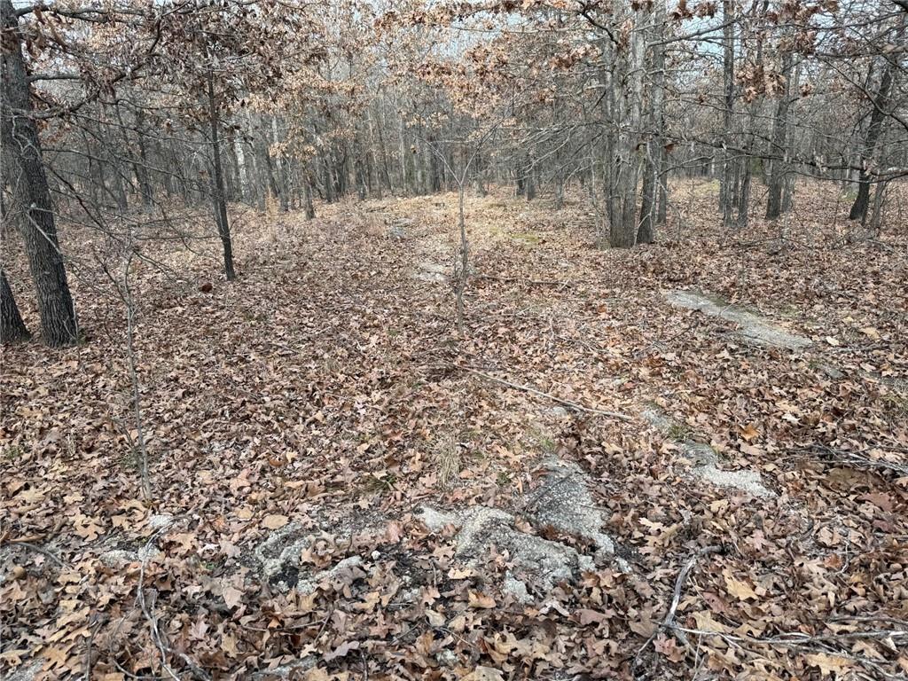 Southeast 97th Terrace Galena, KS 66739 - Photo 14 of 23