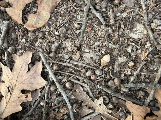 $50,000 | Southeast 97th Terrace, Galena, KS 66739