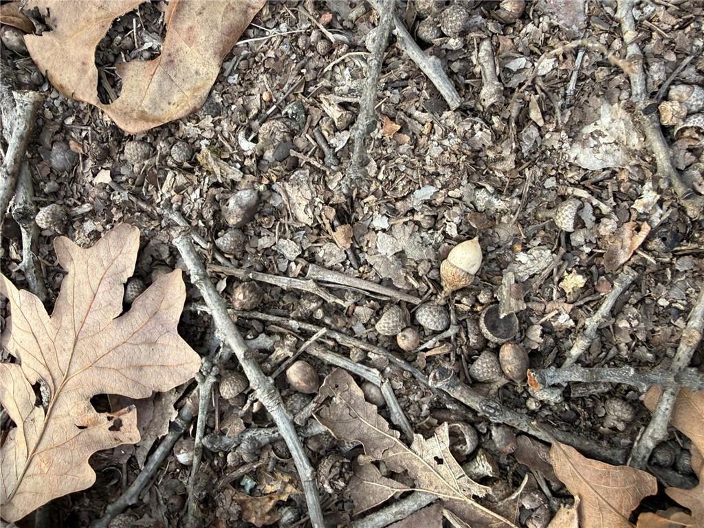 Southeast 97th Terrace Galena, KS 66739 - Photo 19 of 23