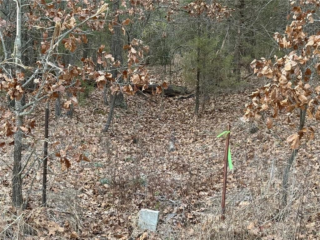 Southeast 97th Terrace Galena, KS 66739 - Photo 22 of 23