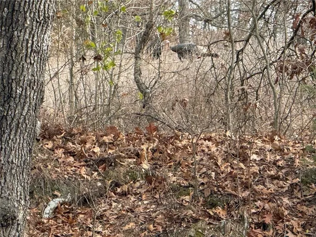 $50,000 | Southeast 97th Terrace, Galena, KS 66739