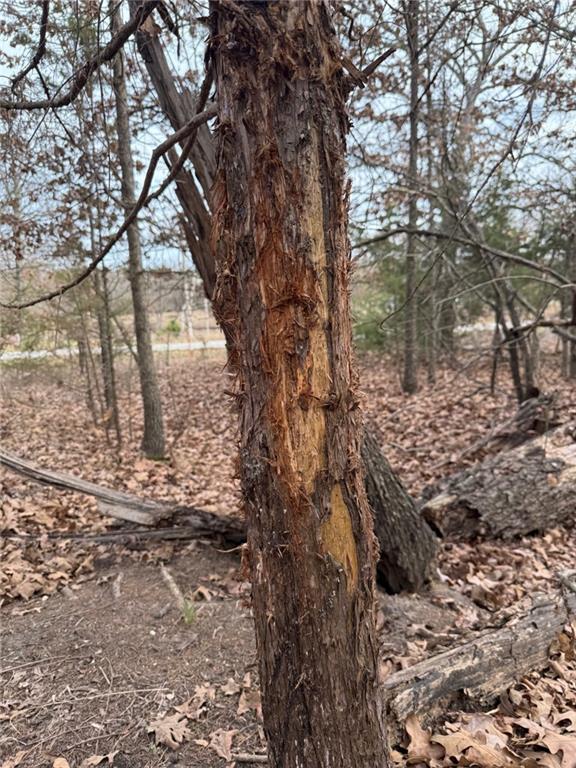 Southeast 97th Terrace Galena, KS 66739 - Photo 5 of 23