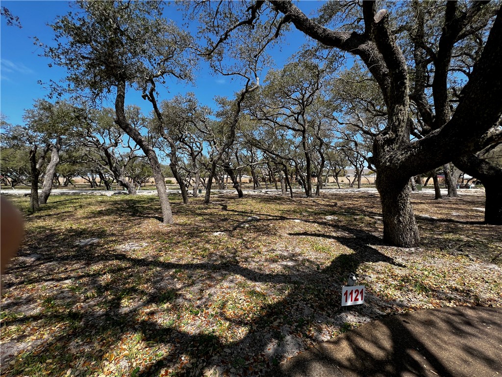 a view of outdoor space with trees