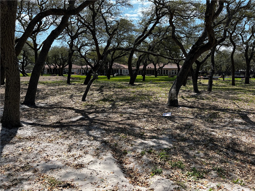 1121 Acorn Drive Fulton, TX 78358 - Photo 2 of 26 a view of outdoor space with trees