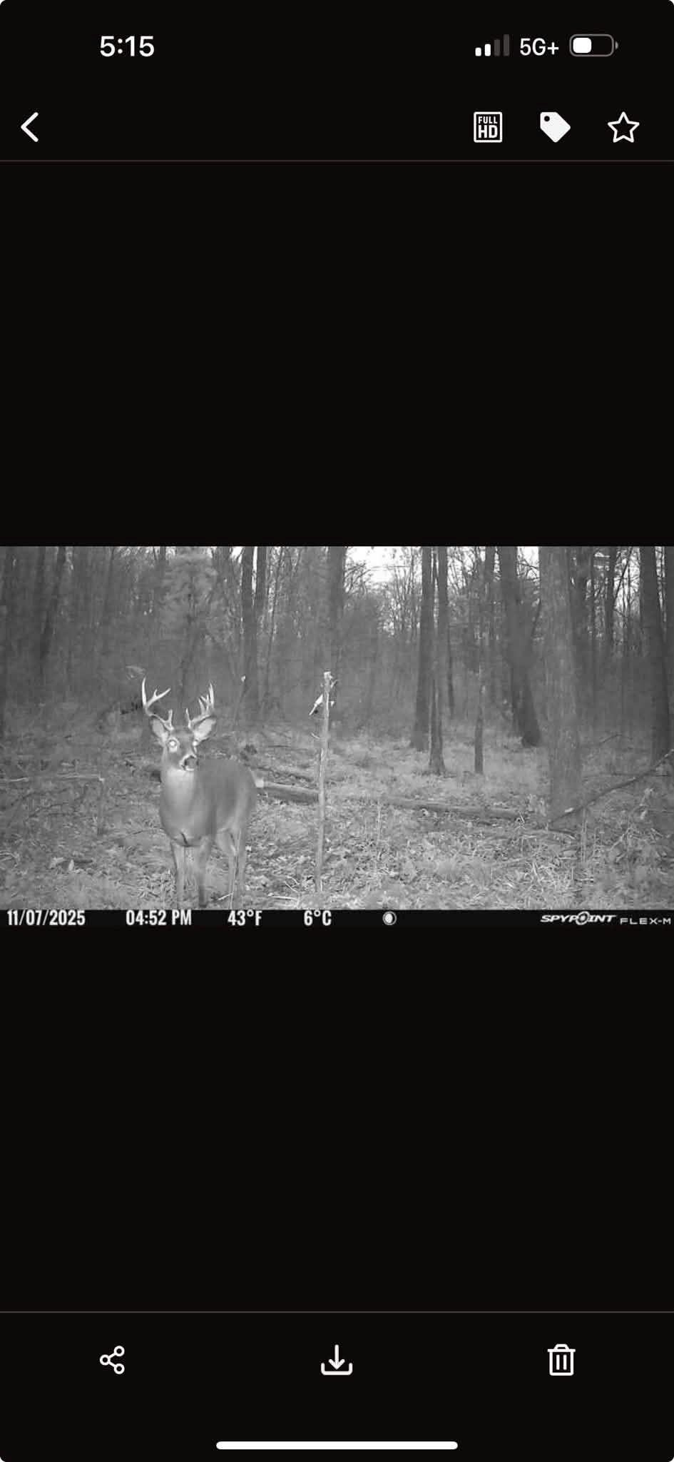 39.94-acres County Rd V Pittsville, WI 54466 - Photo 15 of 17