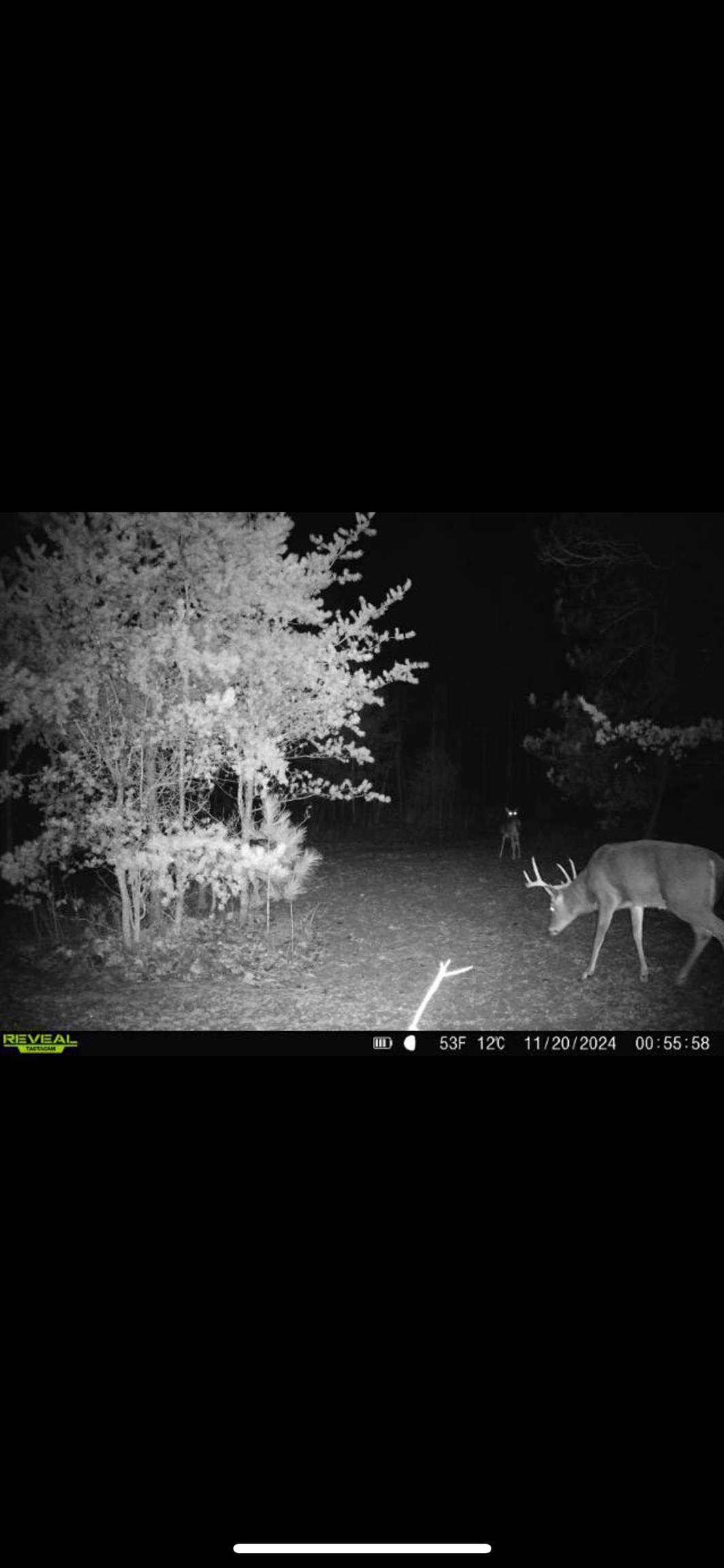 1667 East Walker Road Lake City, MI 49651 - Photo 34 of 54