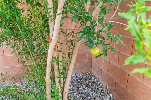 $419,999 | 715 Taliput Palm Place, Henderson, NV 89011