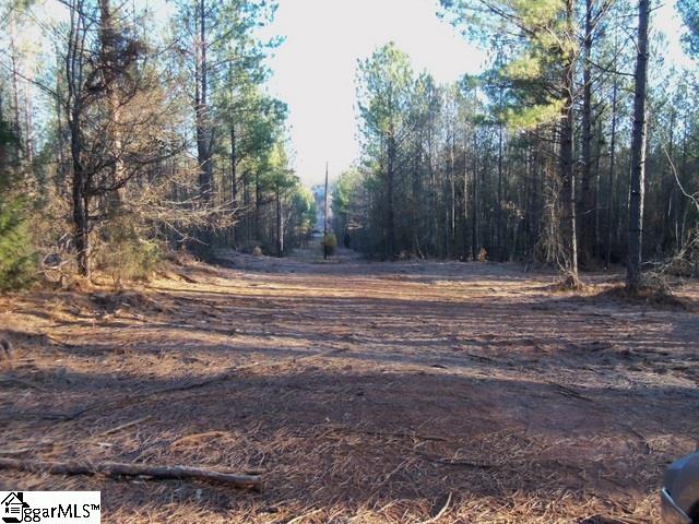 465 Slatton Shoals Road Pelzer, SC 29669 - Photo 2 of 24