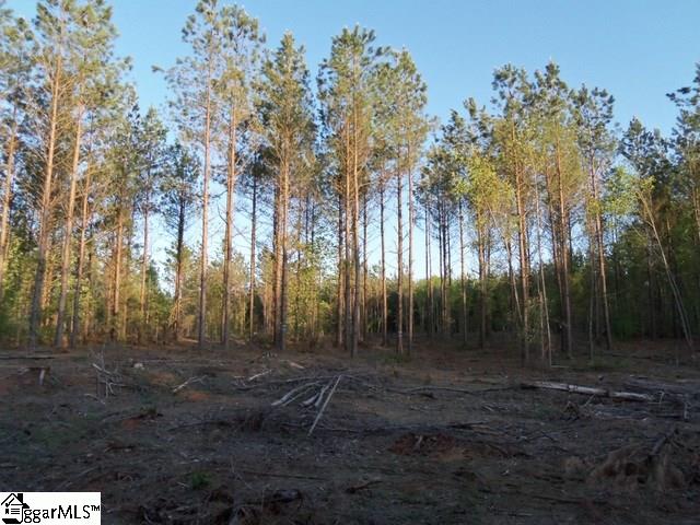 465 Slatton Shoals Road Pelzer, SC 29669 - Photo 12 of 24
