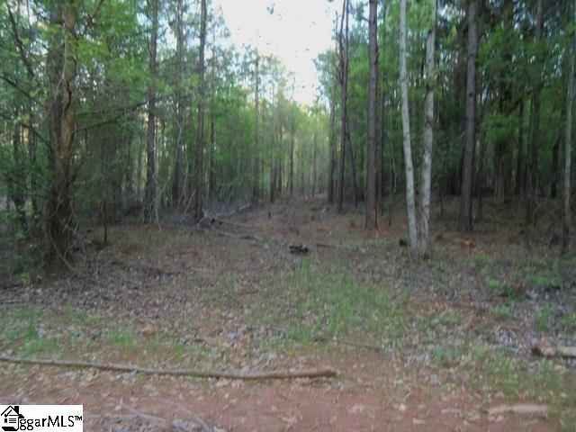 465 Slatton Shoals Road Pelzer, SC 29669 - Photo 14 of 24
