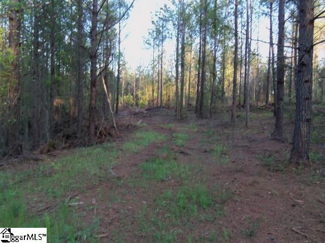465 Slatton Shoals Road Pelzer, SC 29669 - Photo 16 of 24