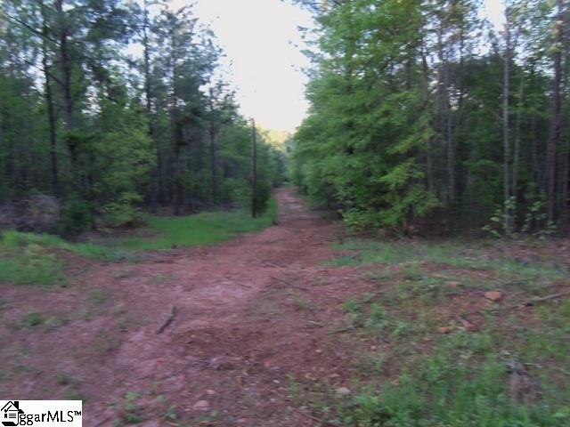 465 Slatton Shoals Road Pelzer, SC 29669 - Photo 18 of 24