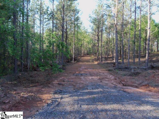 465 Slatton Shoals Road Pelzer, SC 29669 - Photo 20 of 24