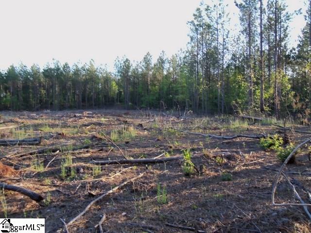 465 Slatton Shoals Road Pelzer, SC 29669 - Photo 21 of 24