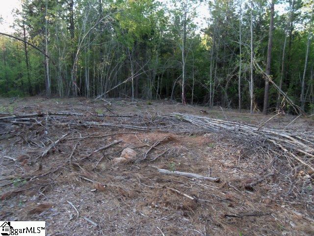 465 Slatton Shoals Road Pelzer, SC 29669 - Photo 22 of 24