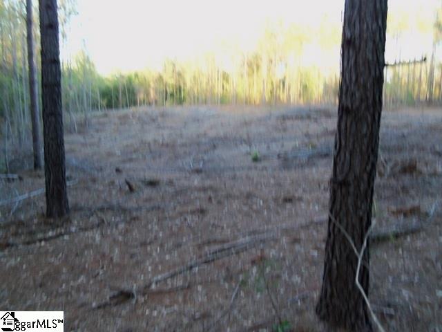 465 Slatton Shoals Road Pelzer, SC 29669 - Photo 23 of 24