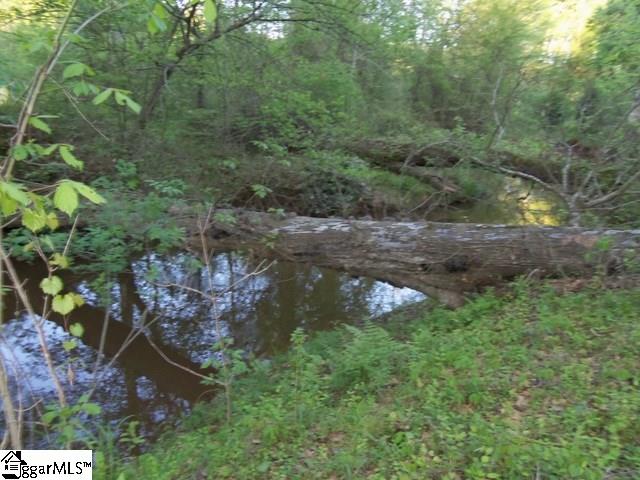 465 Slatton Shoals Road Pelzer, SC 29669 - Photo 5 of 24