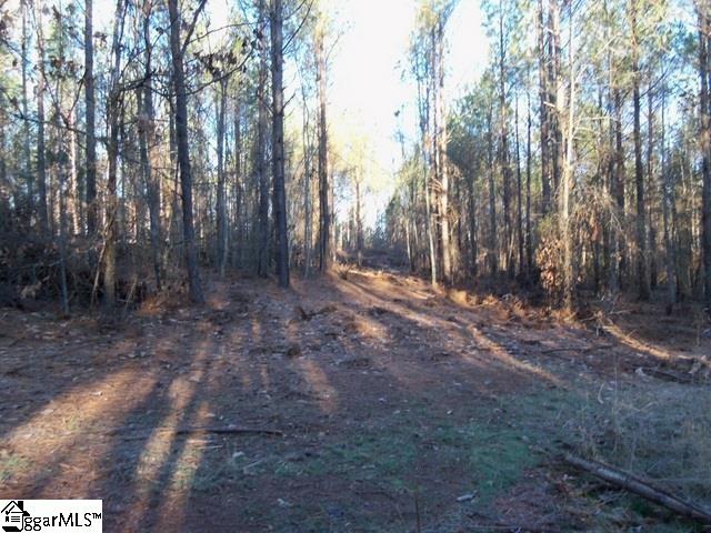 465 Slatton Shoals Road Pelzer, SC 29669 - Photo 6 of 24