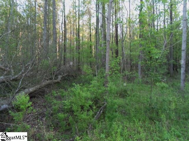 465 Slatton Shoals Road Pelzer, SC 29669 - Photo 7 of 24